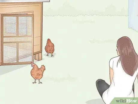 Image titled Earn Your Chicken's Trust Step 6