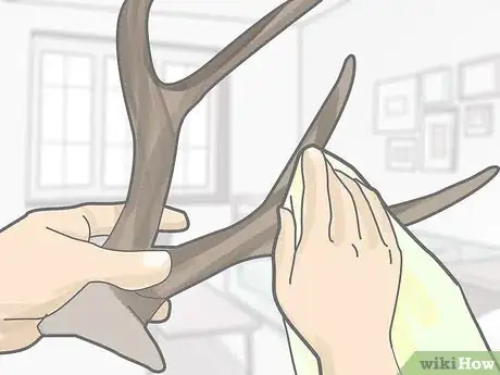 Image titled Clean Deer Antlers Step 8