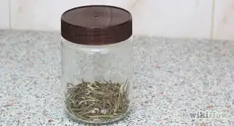 Dry Rosemary