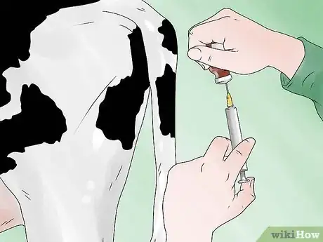 Image titled Keep a Milking Cow Step 3