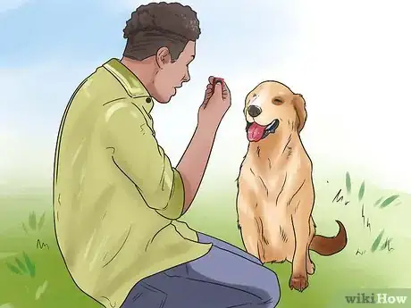 Image titled Teach Your Dog Tricks Step 7