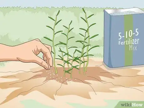 Image titled Fertilize Herbs Step 10