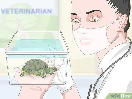 Image titled Care for a Turtle Step 13