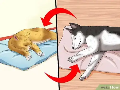 Image titled Introduce an Older Cat to a New Dog Step 2