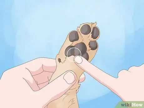 Image titled Stop a Dog from Licking Its Paws with Home Remedies Step 2