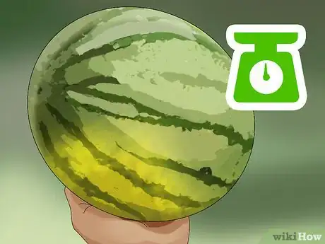 Image titled Choose a Melon Step 8