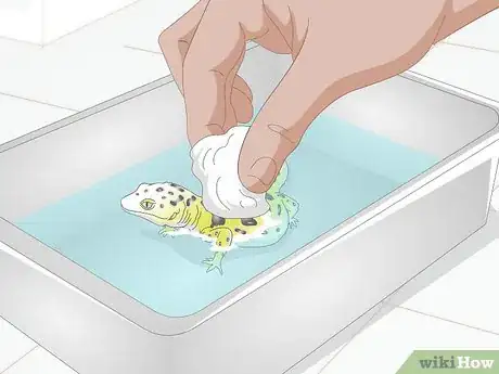 Image titled Bathe a Leopard Gecko Step 4