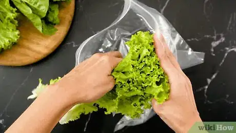 Image titled Dry Lettuce Step 6