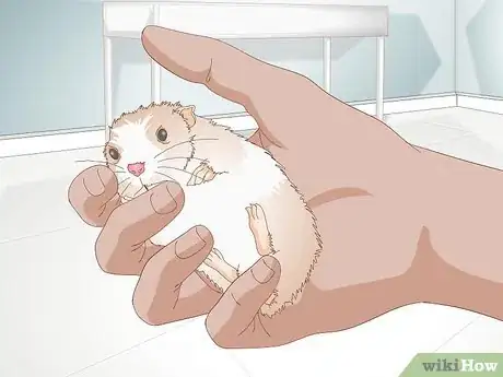 Image titled Trim Hamster Nails Step 2