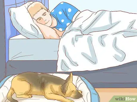 Image titled Stop Your Dog from Waking You Up at Night Step 12