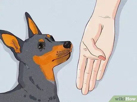 Image titled Protect Yourself from Dogs While Walking Step 17