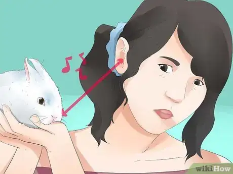 Image titled Understand Your Rabbit Step 2