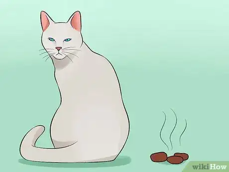 Image titled Help Your Depressed Cat Step 2