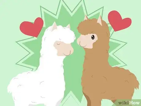 Image titled Buy Alpacas Step 2