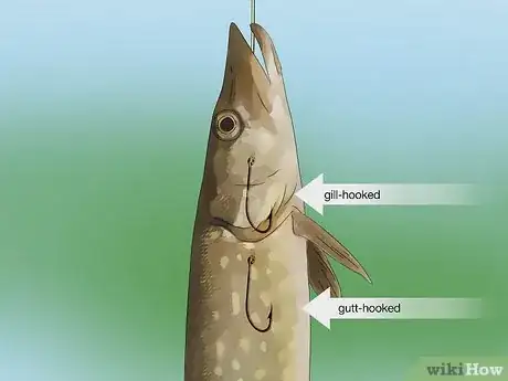 Image titled Hold a Fish Step 10