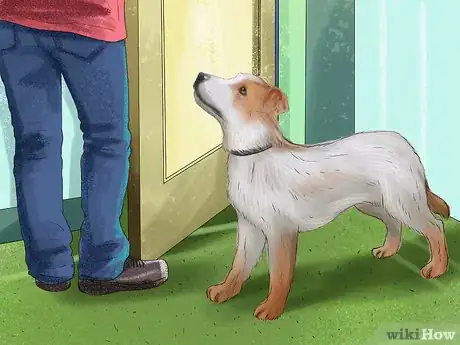 Image titled Teach a Dog to Tell You when He Wants to Go Outside Step 9