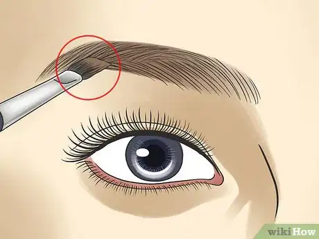 Image titled Choose Eyebrow Color Step 12