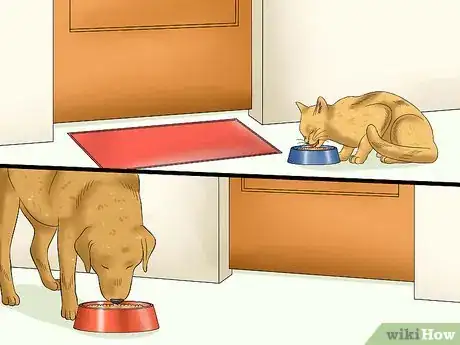 Image titled Introduce an Older Cat to a New Dog Step 3