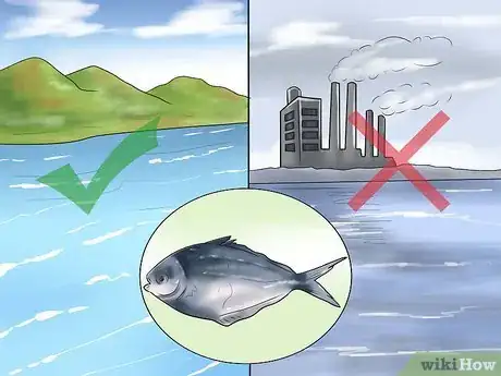 Image titled Eat Fish During Pregnancy Step 3