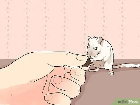 Image titled Care for Gerbils Step 11