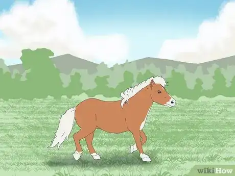 Image titled Choose the Right Breed of Horse for You Step 2