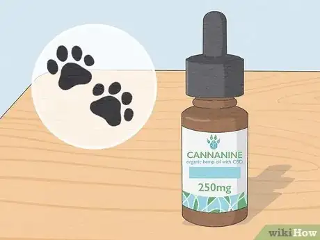 Image titled Best CBD Oil for Dogs Step 17