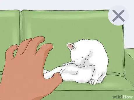 Image titled Give Your Cat a Massage Step 7