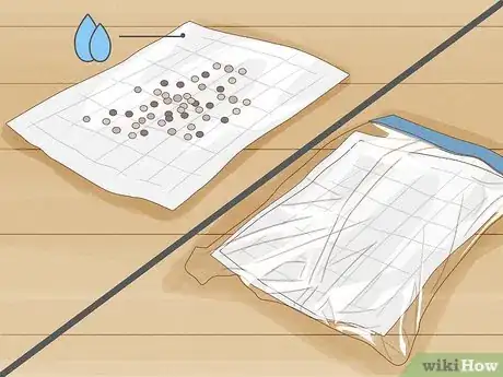 Image titled Grow Plants Using Hydroponics Step 5