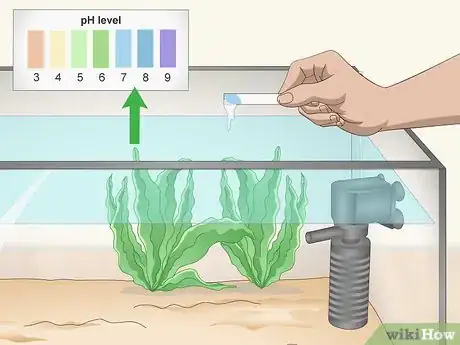 Image titled Troubleshoot Tank Cycling Problems Step 1