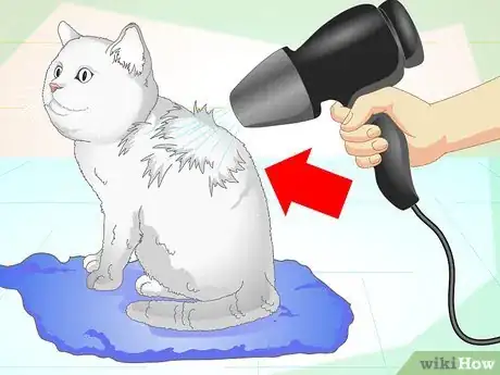 Image titled Inconspicuously Bathe a Cat Without Being Scratched Step 13