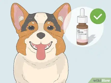 Image titled Best CBD Oil for Dogs Step 21