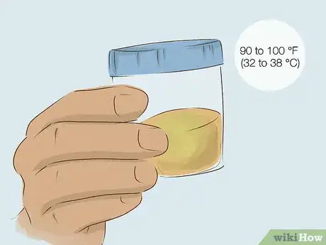 Image titled Store Urine for a Drug Test Step 8