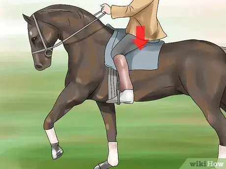 Image titled Canter With Your Horse Step 5