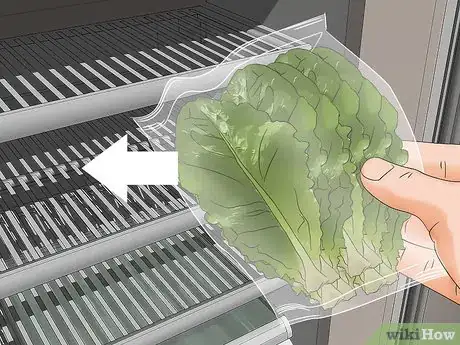 Image titled Harvest Romaine Lettuce Step 11