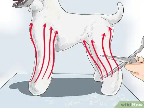 Image titled Do a Town and Country Poodle Cut Step 10