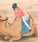 Ride a Camel