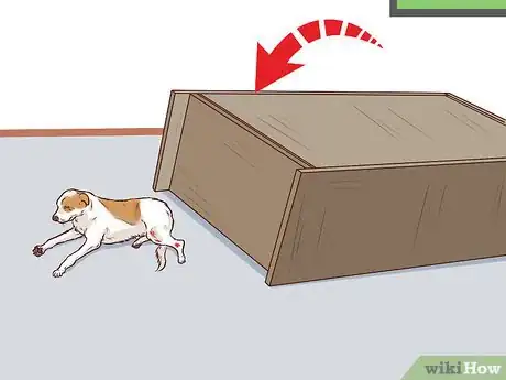 Image titled Know if Your Dog Has a Slipped Disc Step 2