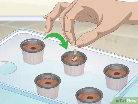 Image titled Start a Hydroponic Garden in Your Apartment Step 11