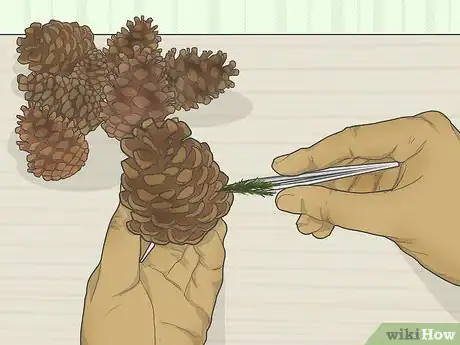 Image titled Preserve Pinecones Step 2