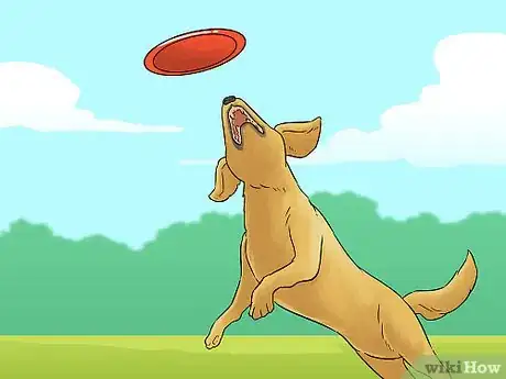 Image titled Make a Routine for Your Dog Step 8