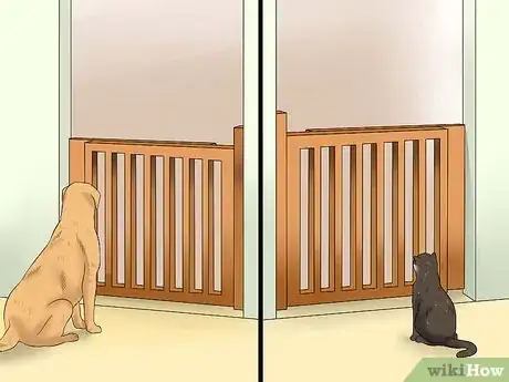 Image titled Introduce an Older Cat to a New Dog Step 9