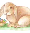 Draw the Easter Bunny