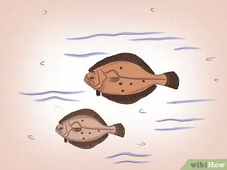 Image titled Fish for Flounder Step 3