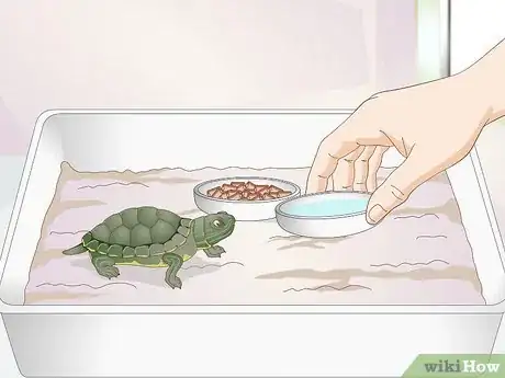 Image titled Feed a Baby Turtle Step 6