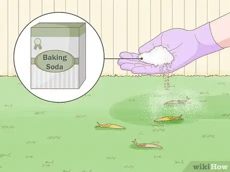 Image titled Use Baking Soda in the Garden Step 14