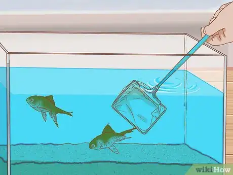 Image titled Sanitize a Fish Tank Step 1