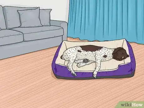 Image titled Prepare Your Household for a New Dog Step 3