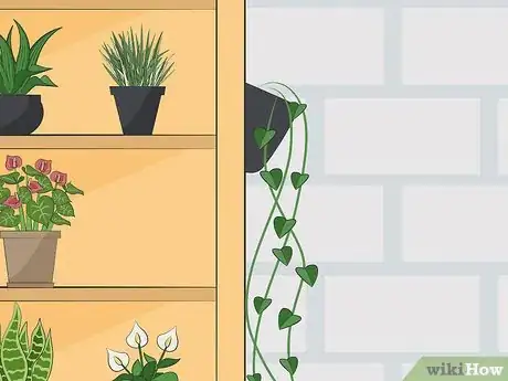 Image titled Turn a Bookshelf Into a Vertical Garden Step 13