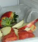 Freeze Fruit