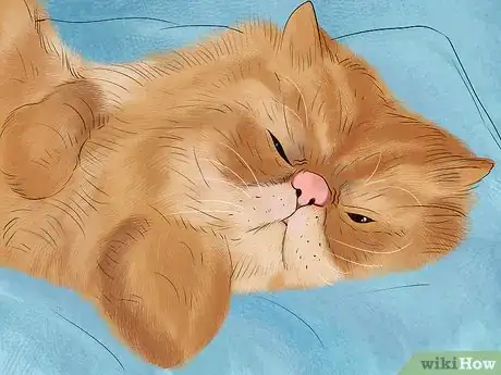 Image titled Know if Your Cat Is Getting Enough Sleep Step 3